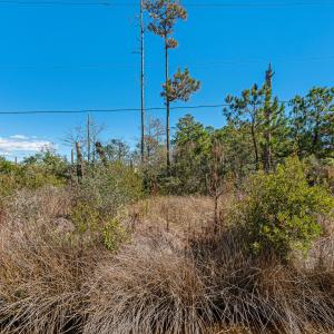 Waterfront vacant lot in Stacy