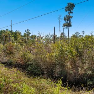 Waterfront vacant lot in Stacy