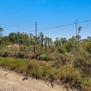 Waterfront vacant lot in Stacy