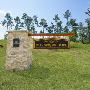 Old Spring Hope Entry