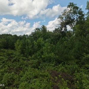 07-Photo 7