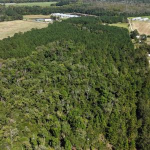 DJI_20261013140456_0767_D