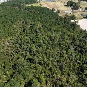 DJI_20261013140530_0769_D