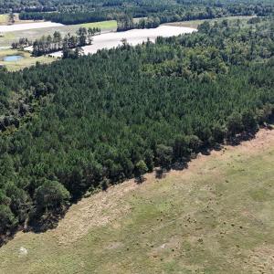 DJI_20261013140733_0776_D