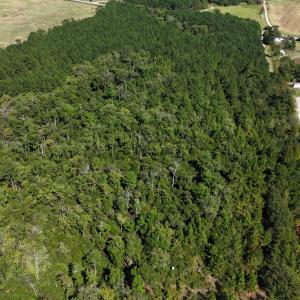 DJI_20261013140506_0768_D