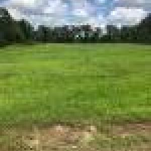 60.61 Acres Emma Cannon Road