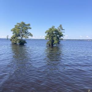 IMG_8845