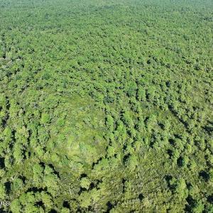 DJI_20260913054758_0817_D