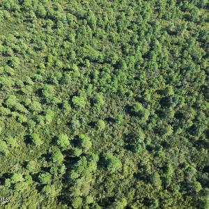 DJI_20260913054833_0820_D