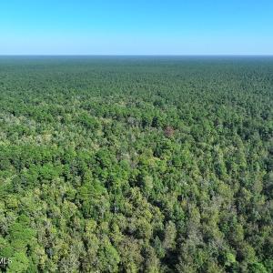 Angola Bay Hunting Land