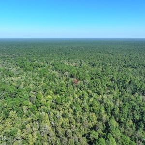DJI_20260913054655_0812_D