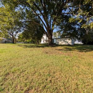 Mature Pecan trees on property