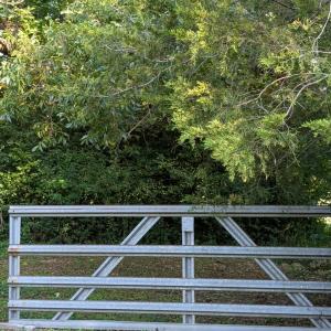 Gate on property