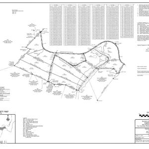 Preliminary Survey
