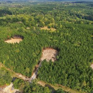 20-web-or-mls-LOT6_03