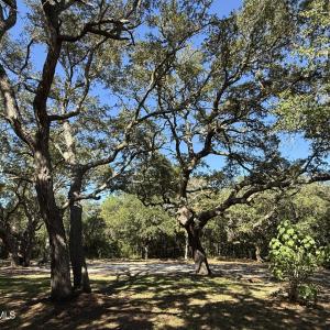 129CapeFearDr1