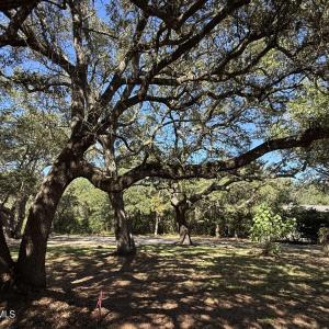 129CapeFearDr