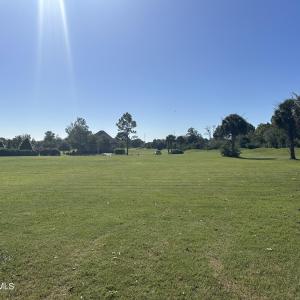 From Back of Lot Looking Toward Street