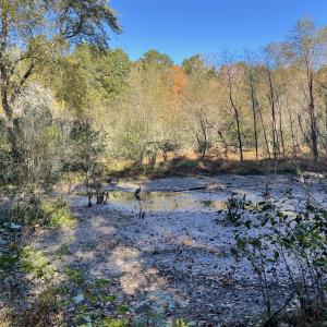 5021 Griffin Farm Ln- 030 - Copy
