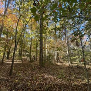 5021 Griffin Farm Ln- 046 - Copy