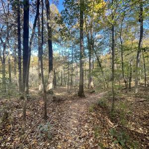 5021 Griffin Farm Ln- 052 - Copy