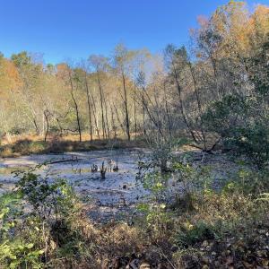 5021 Griffin Farm Ln- 055 - Copy