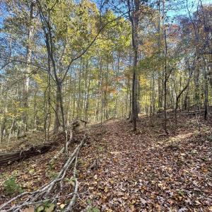 5021 Griffin Farm Ln- 060 - Copy