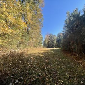 5021 Griffin Farm Ln- 066 - Copy