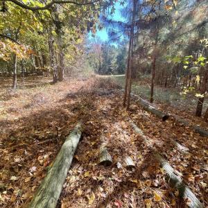 5021 Griffin Farm Ln- 065 - Copy