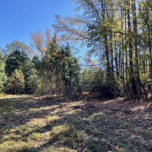 5021 Griffin Farm Ln- 067 - Copy