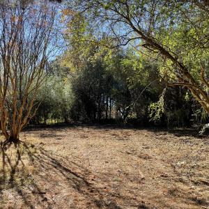 5021 Griffin Farm Ln- 079 - Copy