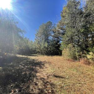 5021 Griffin Farm Ln- 084 - Copy