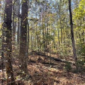 5021 Griffin Farm Ln- 088 - Copy