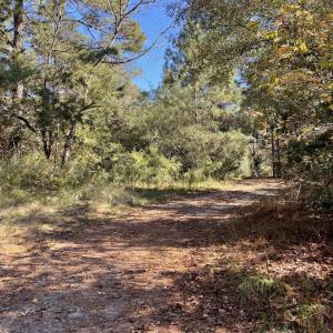 5021 Griffin Farm Ln- 071 - Copy