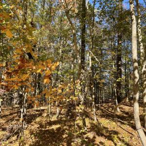 5021 Griffin Farm Ln- 001