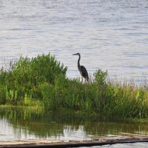 River_bend_New_Bern_Homes_for_Sale