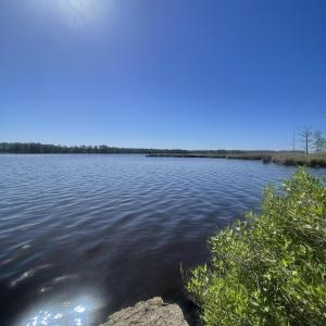 IMG_0669