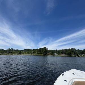 IMG_5961