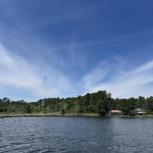 IMG_5960