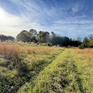 Field4