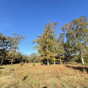 Field1