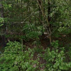 Screenshot 2024-11-12 at 11.41.26AM