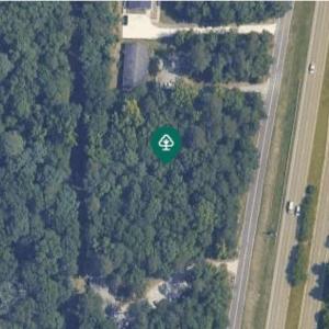 Screenshot 2024-11-12 at 11.40.15AM