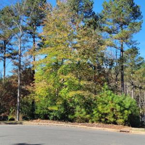 149 Brandy Mill