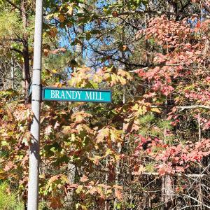 149 Brandy Mill