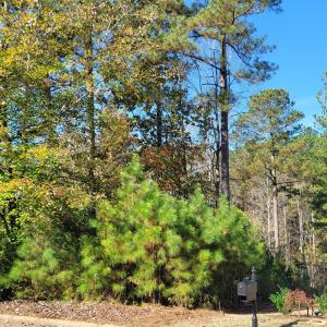 149 Brandy Mill
