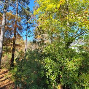 149 Brandy Mill