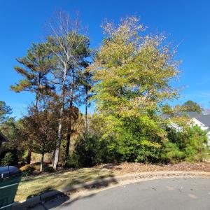 149 Brandy Mill