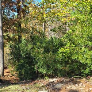 149 Brandy Mill