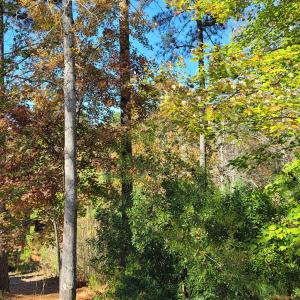 149 Brandy Mill